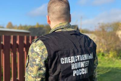 Завхоз-взяточник из новгородского агротехникума отделался штрафом
