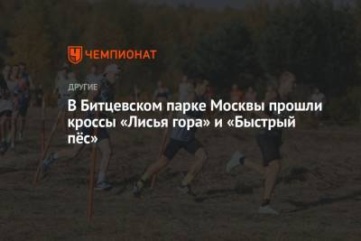 В Битцевском парке Москвы прошли кроссы «Лисья гора» и «Быстрый пёс»