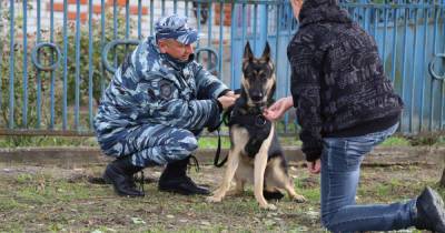 Полицейские исполнили мечту подростка, попросившего у Путина собаку