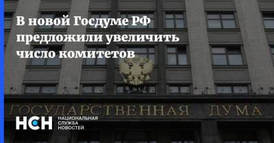 В новой Госдуме РФ предложили увеличить число комитетов