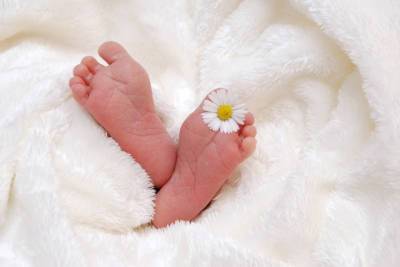 В сентябре в Смоленске родился 231 малыш