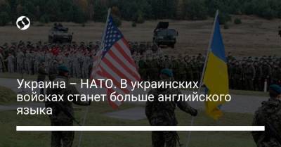 Украина – НАТО. В украинских войсках станет больше английского языка