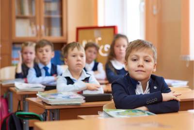Тьюторы и ассистенты для детей с ОВЗ появятся в свердловских школах – Учительская газета