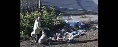 Мэр Елабуги показал горожанам женщину, устроившую свалку мусора на улице Гассара