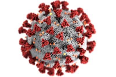 ВОЗ: число случаев коронавируса в мире приближается к 235 млн