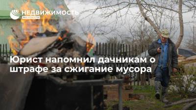 Юрист Дружинин напомнил дачникам о штрафе в четыре тысячи рублей за сжигание мусора