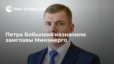 Петра Бобылева назначили заместителем министра энергетики