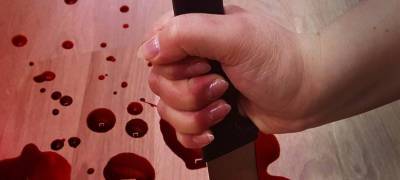 В Карелии мужчина разозлил хозяйку и получил удар ножом в живот