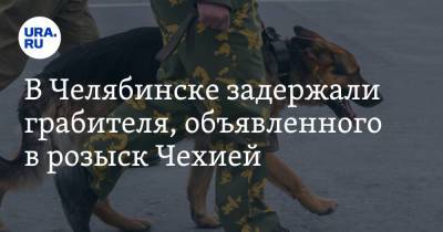 В Челябинске задержали грабителя, объявленного в розыск Чехией