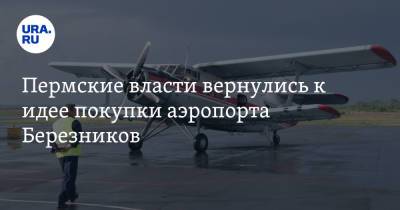 Пермские власти вернулись к идее покупки аэропорта Березников
