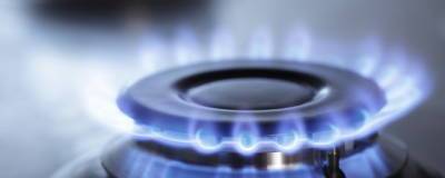 В трех районах Омской области частные дома отключат от газа