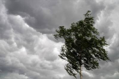 В Мурманской области сильный ветер сохранится до конца суток