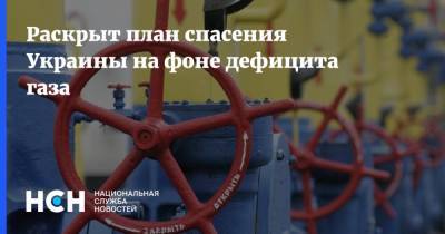 Раскрыт план спасения Украины на фоне дефицита газа