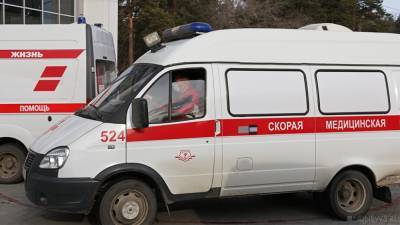 В Челябинской области на охоте ранили главу районного суда