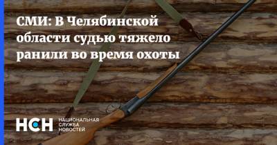 СМИ: В Челябинской области судью тяжело ранили во время охоты