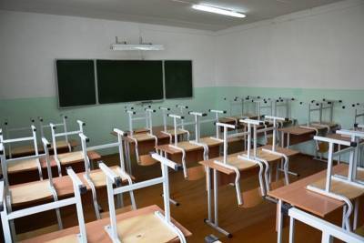 В Курганской области 14 школ ушли на карантин из-за ОРВИ