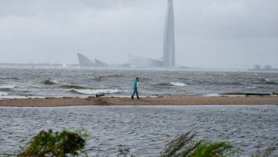Петербуржцев 5 октября ждёт ветреный день без дождя