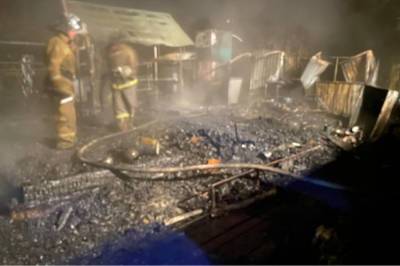 В Уфе сгорел бревенчатый дом: погиб мужчина