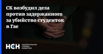 СК возбудил дела против задержанного за убийство студенток в Гае