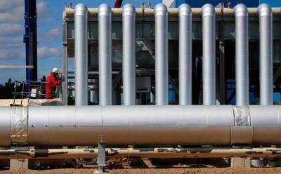 В Германии заявили, что Россия непричастна к высоким ценам на газ в Европе