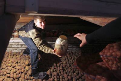 Россиянам разъяснили запрет на хранение консервов в подвалах