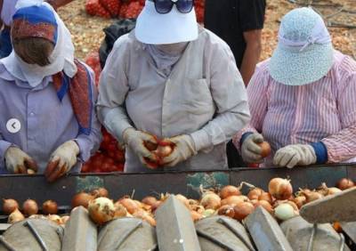 Астраханские фермеры смогут привлекать иностранных работников без ограничений