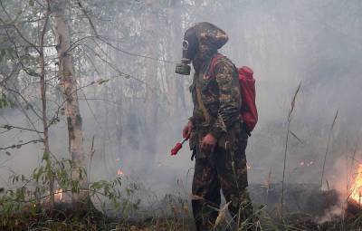 В Комсомольске-на-Амуре загорелась территория памятника природы "Силинский лес"