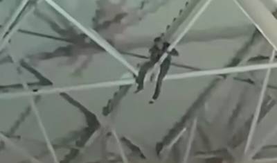 Снятый с перекрытий крыши аэропорта Внуково кубинец госпитализирован с травмой ноги
