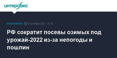 РФ сократит посевы озимых под урожай-2022 из-за непогоды и пошлин