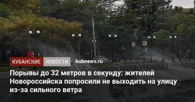 Порывы до 32 метров в секунду: жителей Новороссийска попросили не выходить на улицу из-за сильного ветра