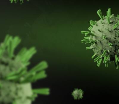 В Японии обнаружен вызывающий острую лихорадку вирус