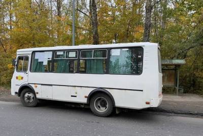 На окраине Рязани пьяный водитель автобуса сбил пенсионера на переходе