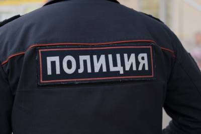 Полиция раскрыла деятельность экстремистских ячеек в Москве и Подмосковье