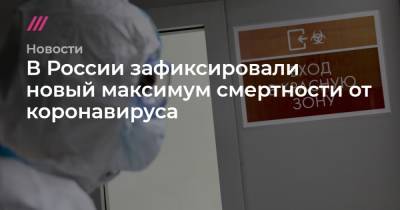 В России зафиксировали новый максимум смертности от коронавируса
