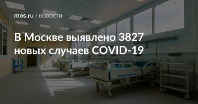 В Москве выявлено 3827 новых случаев COVID-19