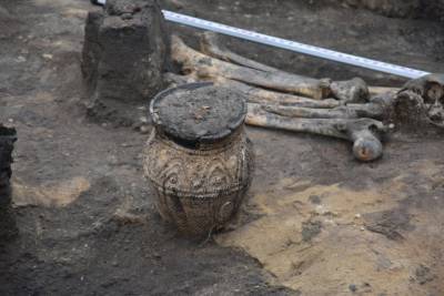 Древние сосуды и пять погребений обнаружили липецкие археологи под Чаплыгином