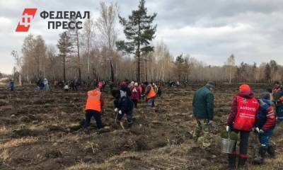 На пострадавшей от пожаров территории Челябинской области высадили лес