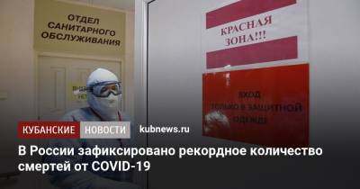 В России зафиксировано рекордное количество смертей от COVID-19