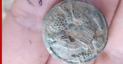 При раскопках древнего замка в Турции обнаружили значок с изображением Большой печати США