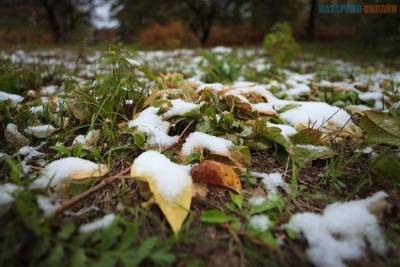 В Мурманской области снег выпадет на Покров, в ближайшие дни ожидаются дожди
