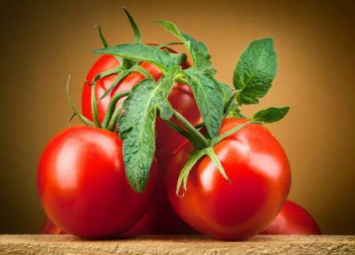 Семена томатов для выращивания на открытом грунте
