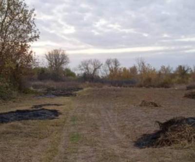 На Луганщине мужчина получил смертельные ожоги, когда палил траву