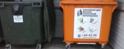 Новгородская область закупит контейнеры для раздельного сбора мусора на 13 млн рублей