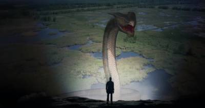 Анаконда на Алтае: водятся ли в России гигантские змеи