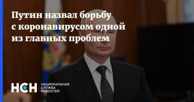 Путин назвал борьбу с коронавирусом одной из главных проблем