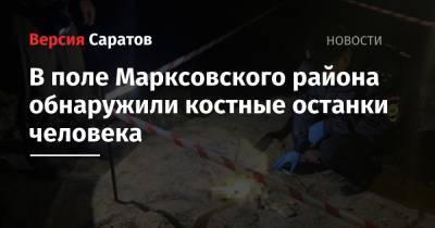 В поле Марксовского района обнаружили костные останки человека