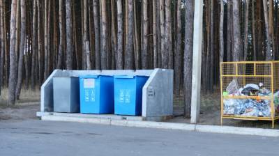 Воронежская область получит 138 млн рублей на контейнеры для раздельного сбора мусора