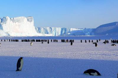 The Washington Post: в Антарктиде зарегистрированы аномальные морозы