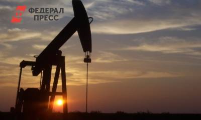 Экономисты объяснили, что может стать источником дохода для России вместо нефти и газа