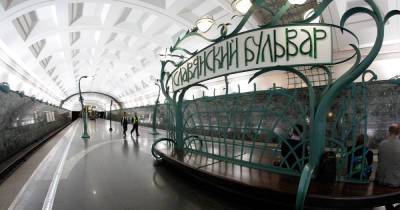 В московском метро из-за зацепера остановили поезд